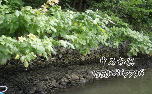 綠濱墊護(hù)坡