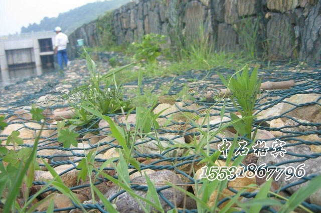 鋅鋁 合金覆塑格賓網(wǎng)護(hù)岸